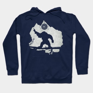 Disco Yeti Hoodie